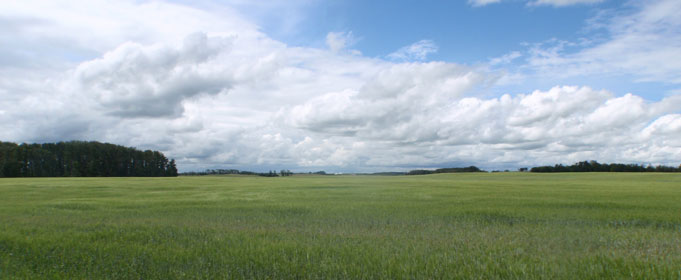 Lamont Ab